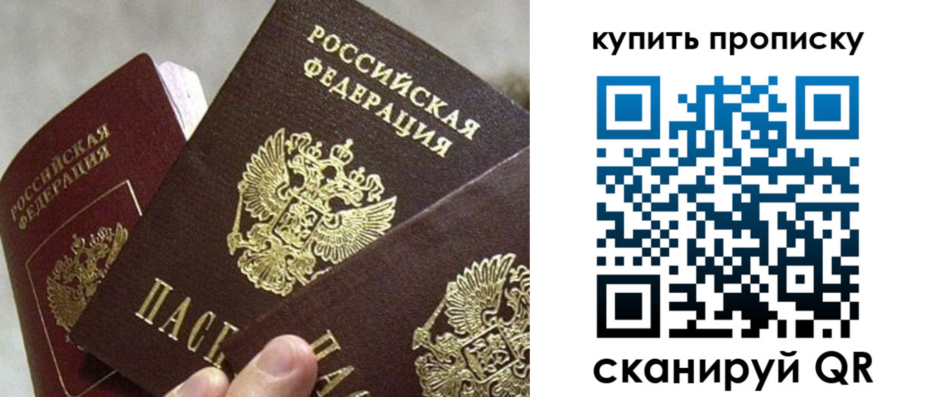прописка для школы в Киреевске